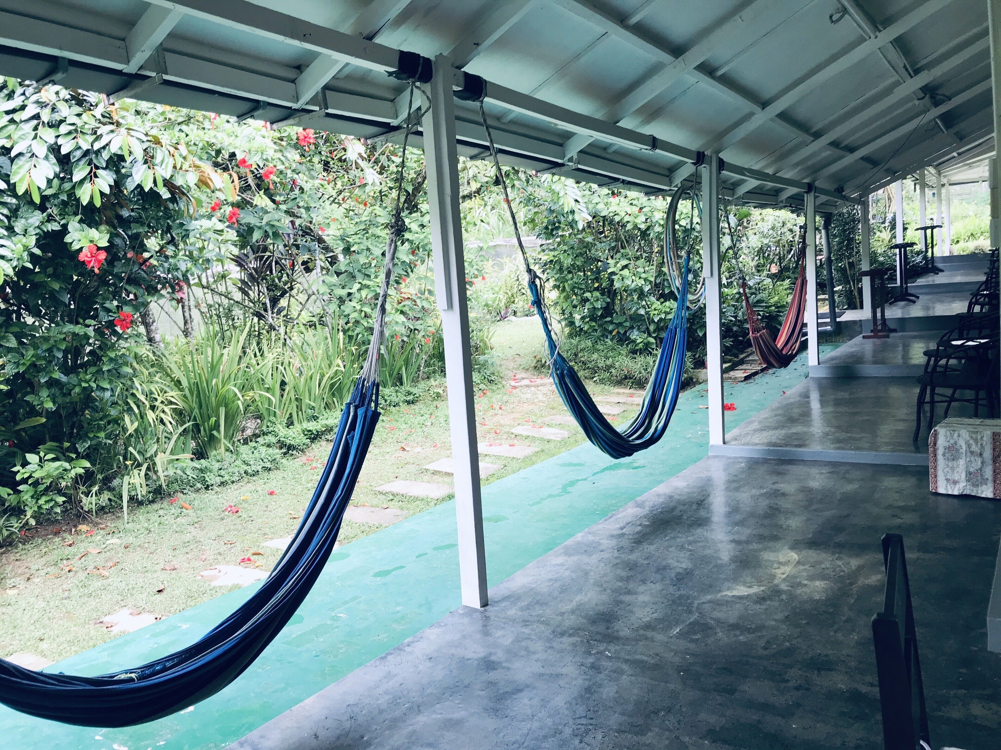 Un espacio al aire libre techado con hamacas, piso de concreto y un jardín con diversas plantas y flores.