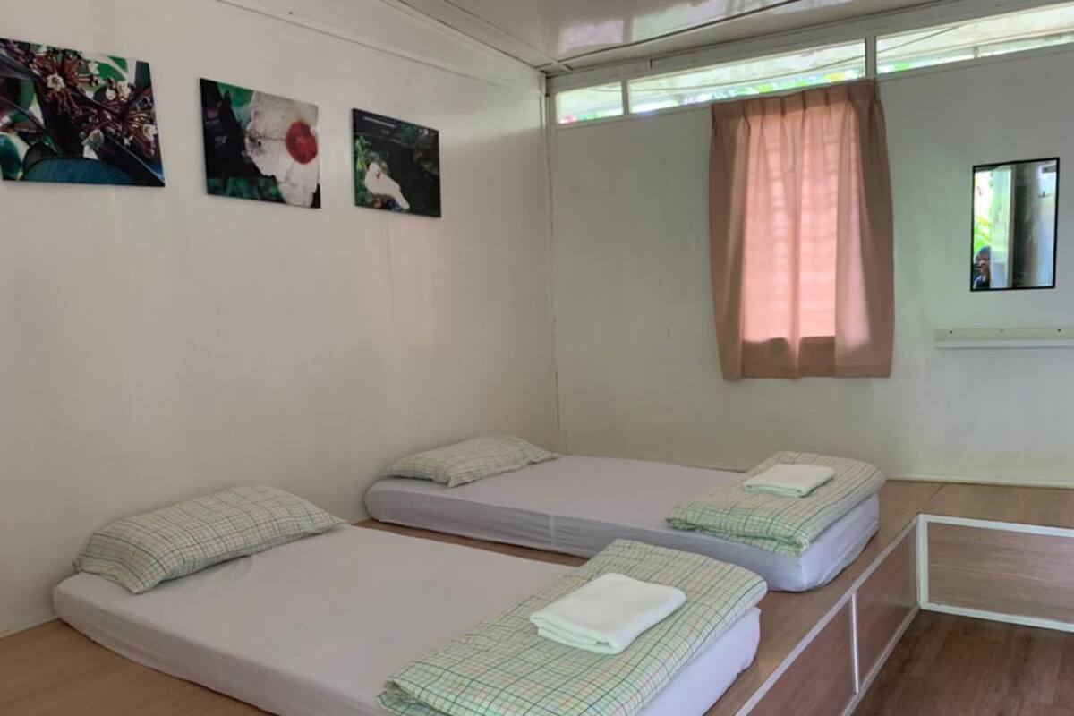 A room with two single beds, each with a green checkered blanket and pillow. There are three wall-mounted artworks depicting floral and abstract designs. A window with a pink curtain allows natural light into the room.