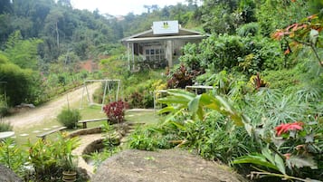 Vista desde la propiedad