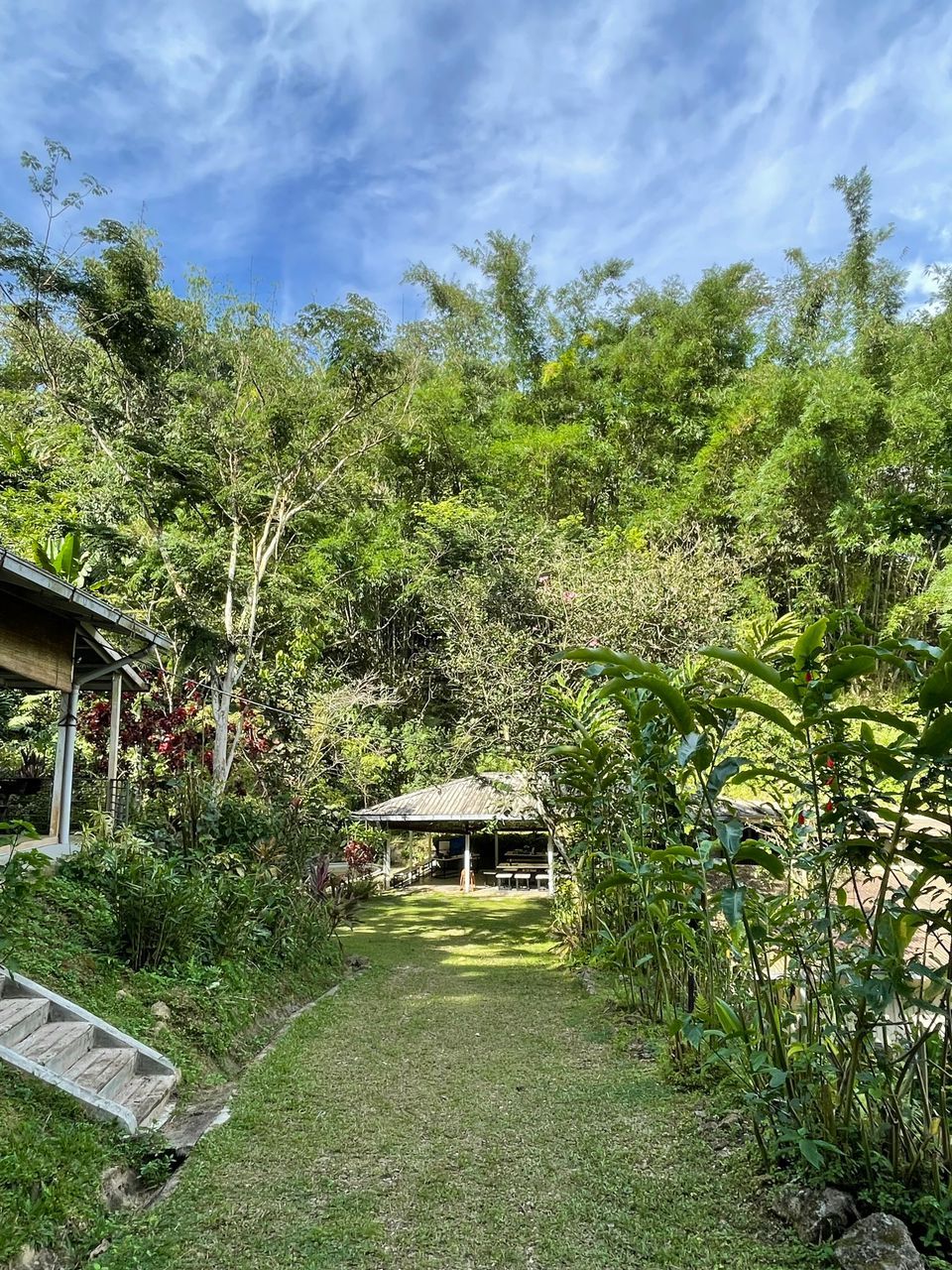 Un jardín con un sendero que lleva a una estructura con techo de paja.