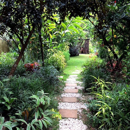 Garden. Moonriver Lodge