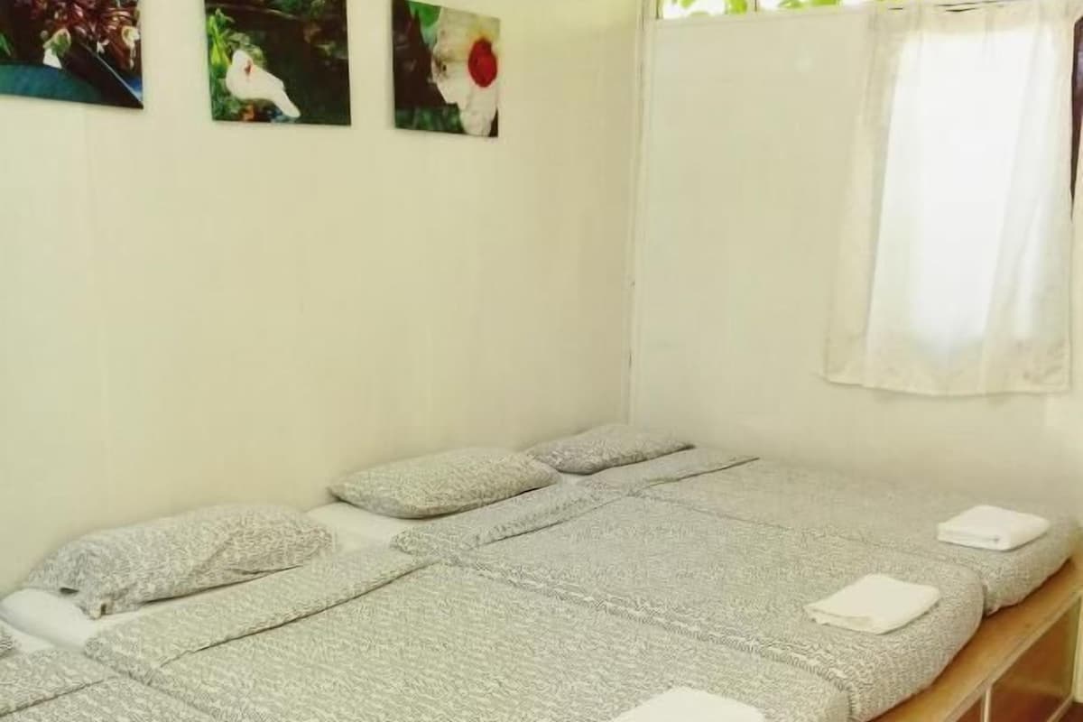 WiFi, bed sheets