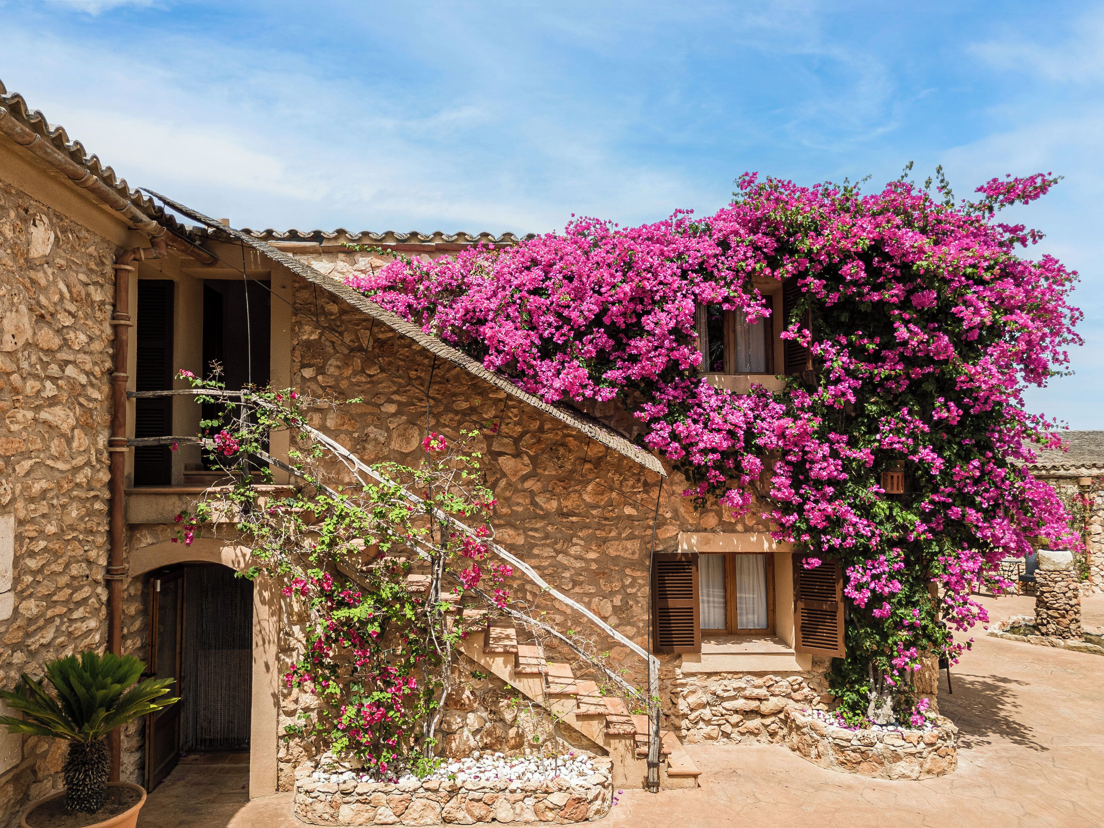 Photo - Finca Es Torrent