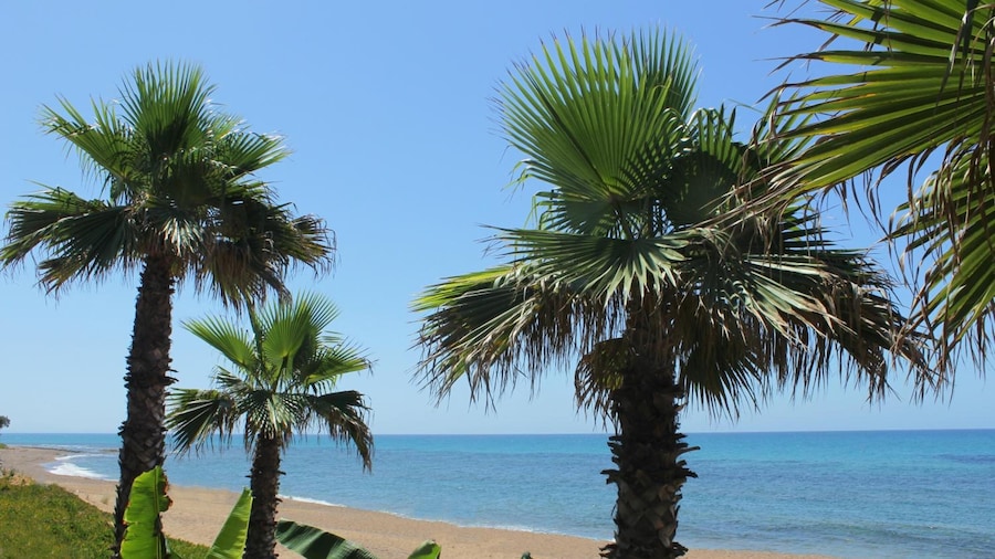 Ionion Beach Apartment Hotel