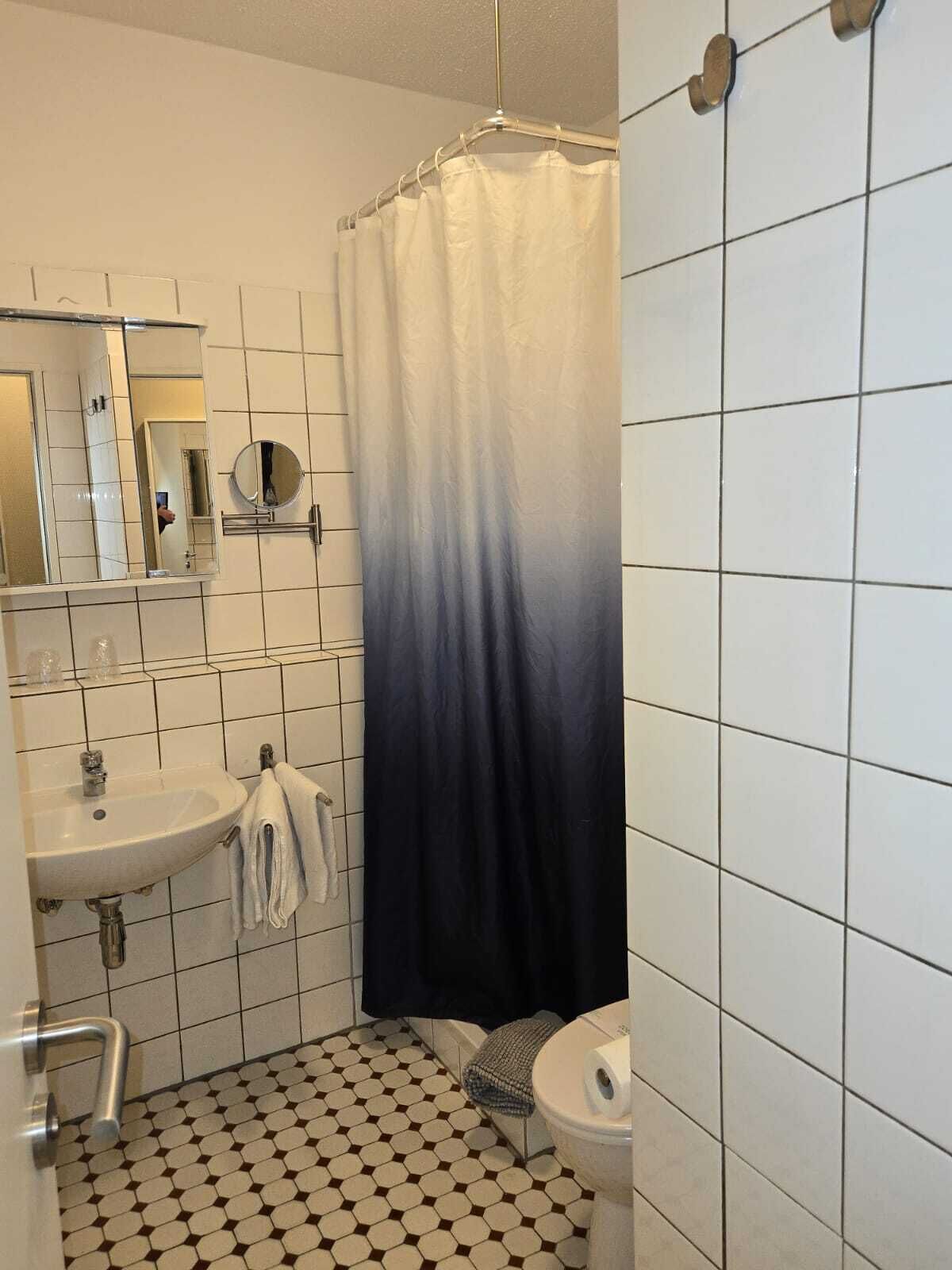 Kylpyhuone, jossa on pesuallas, peili ja wc.