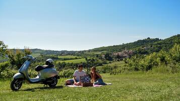 A grassy field with a parked scooter and a picnic setup.