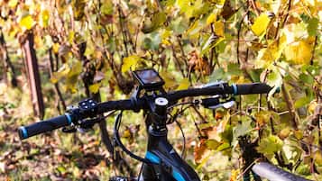 Una bicicleta eléctrica estacionada en un viñedo, con un dispositivo montado, posiblemente un GPS o teléfono.