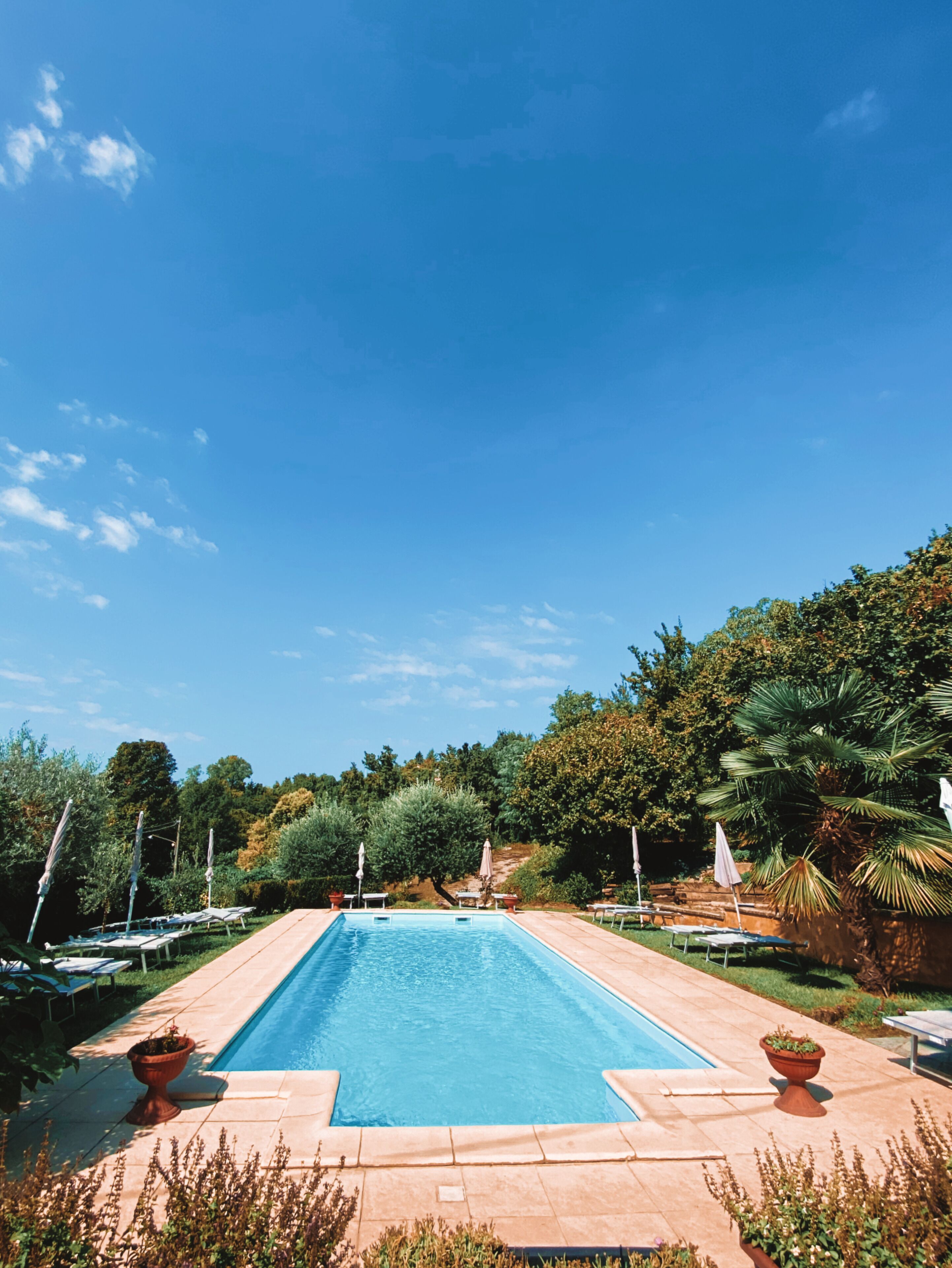 A rectangular swimming pool with a tiled deck, surrounded by potted plants and umbrellas, set against a backdrop of trees and a clear sky.