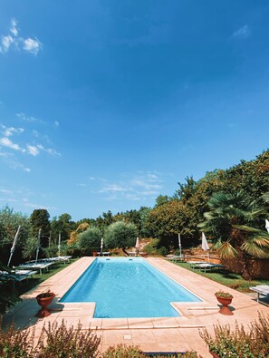 Une piscine rectangulaire, bordée d’une terrasse carrelée, entourée de plantes en pot et d’ombrelles, le tout se détachant sur un fond de verdure et d’un ciel dégagé.