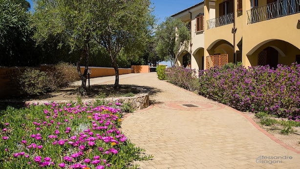 A pathway leading to a building with arched windows and a balcony. - Residence L'isola Surf House (Palau)