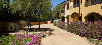 Residence L'Isola Surf House