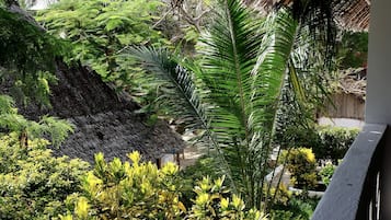 Estrutura com telhado de palha, vegetação exuberante e um caminho de pedra.