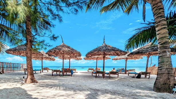 Ein Strand mit Reetsonnenstühlen, Holzstühlen und Palmen.