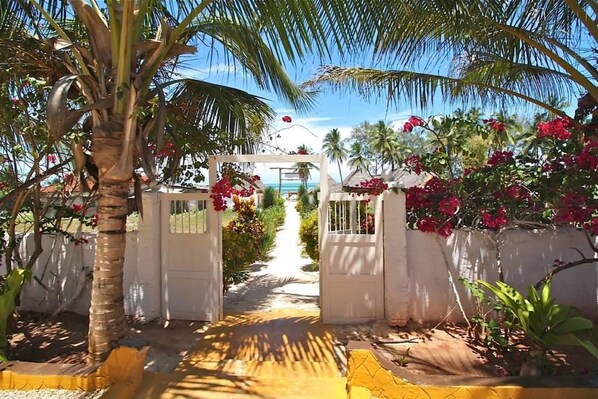 A pathway leading to a gated entrance with a white gate, surrounded by lush greenery and flowering plants.