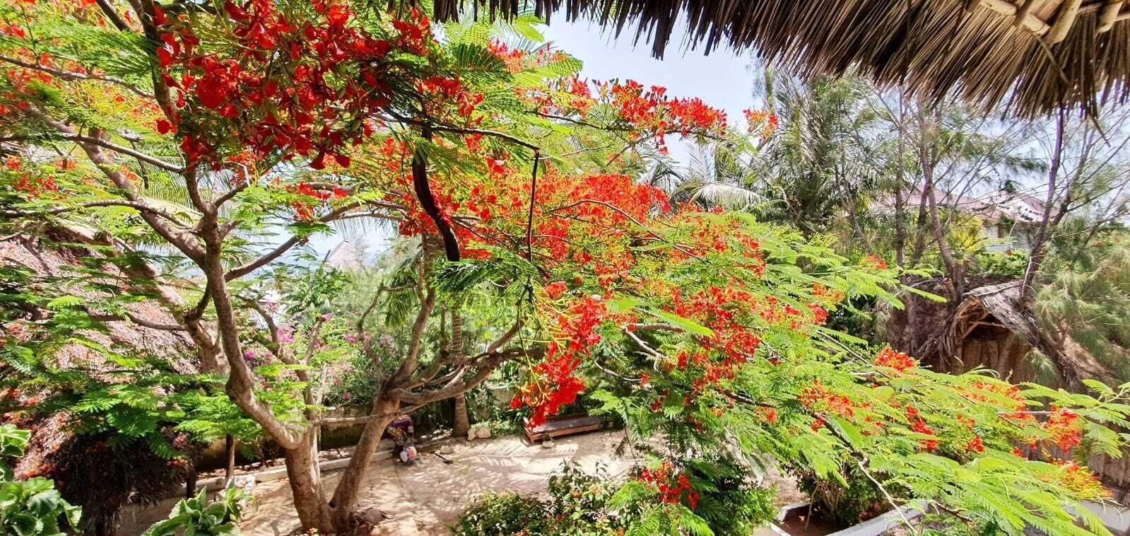 double room | view from room
