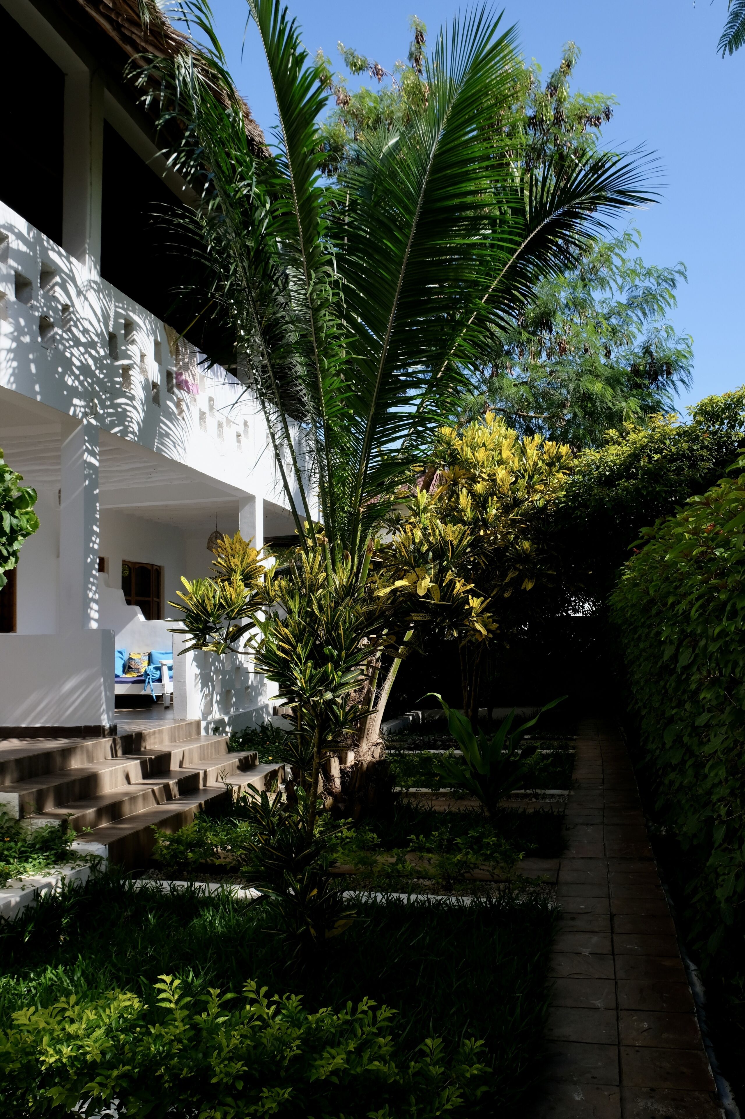 A white building with a covered porch, surrounded by lush greenery and a pathway leading to the entrance.