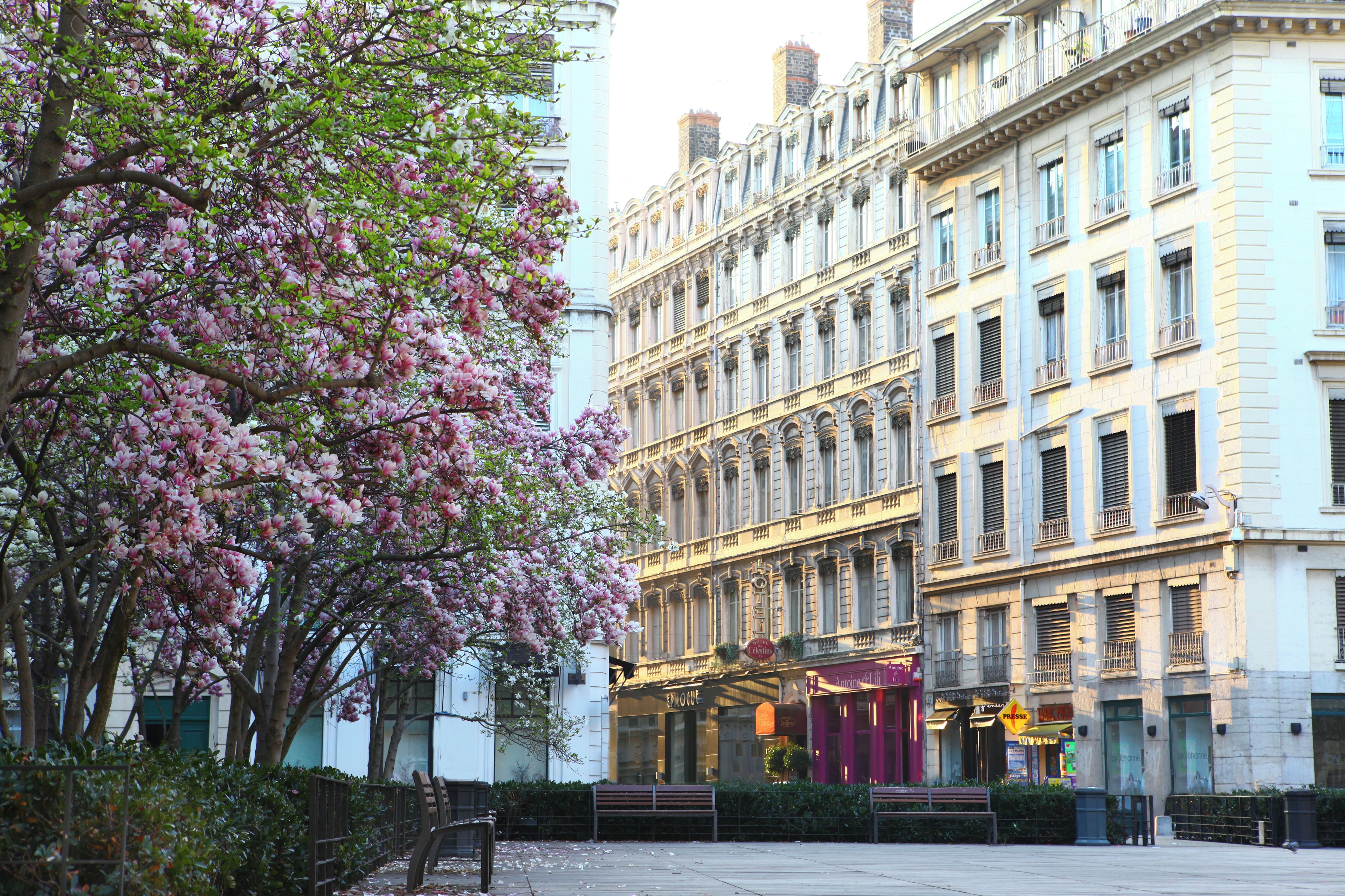 Foto - Hôtel des Célestins