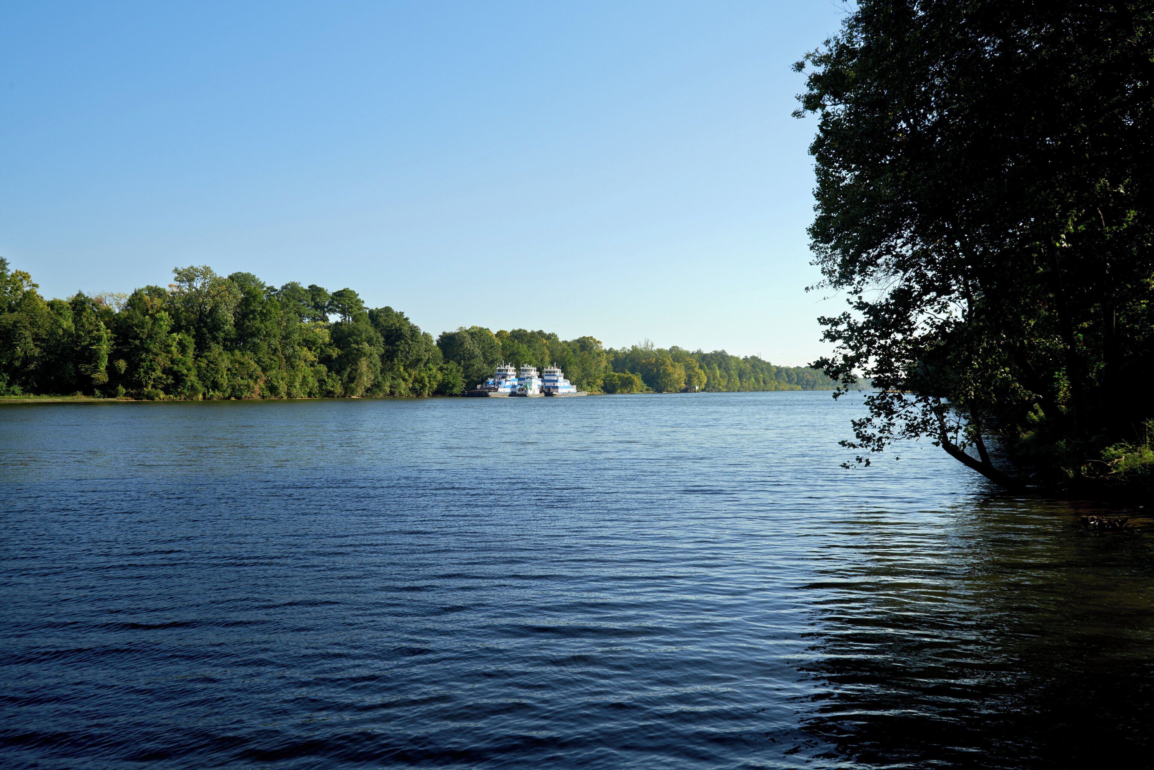 A calm river with a boat in the distance and dense trees on the banks.