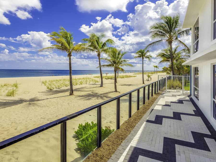 Vista de una playa con palmeras y cielo despejado.