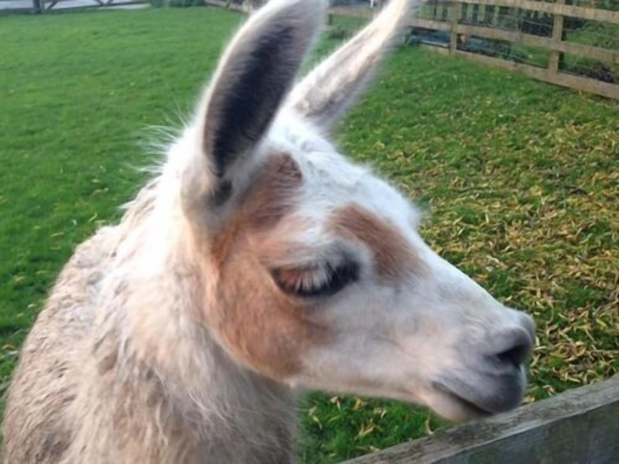 Photo - Skipbridge Farm Cottages