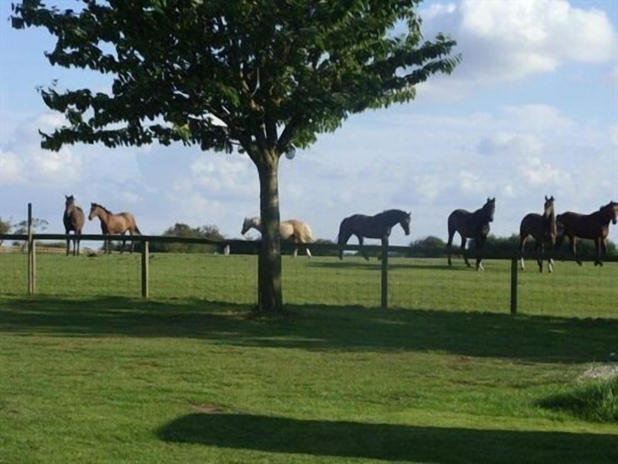 Photo - Skipbridge Farm Cottages
