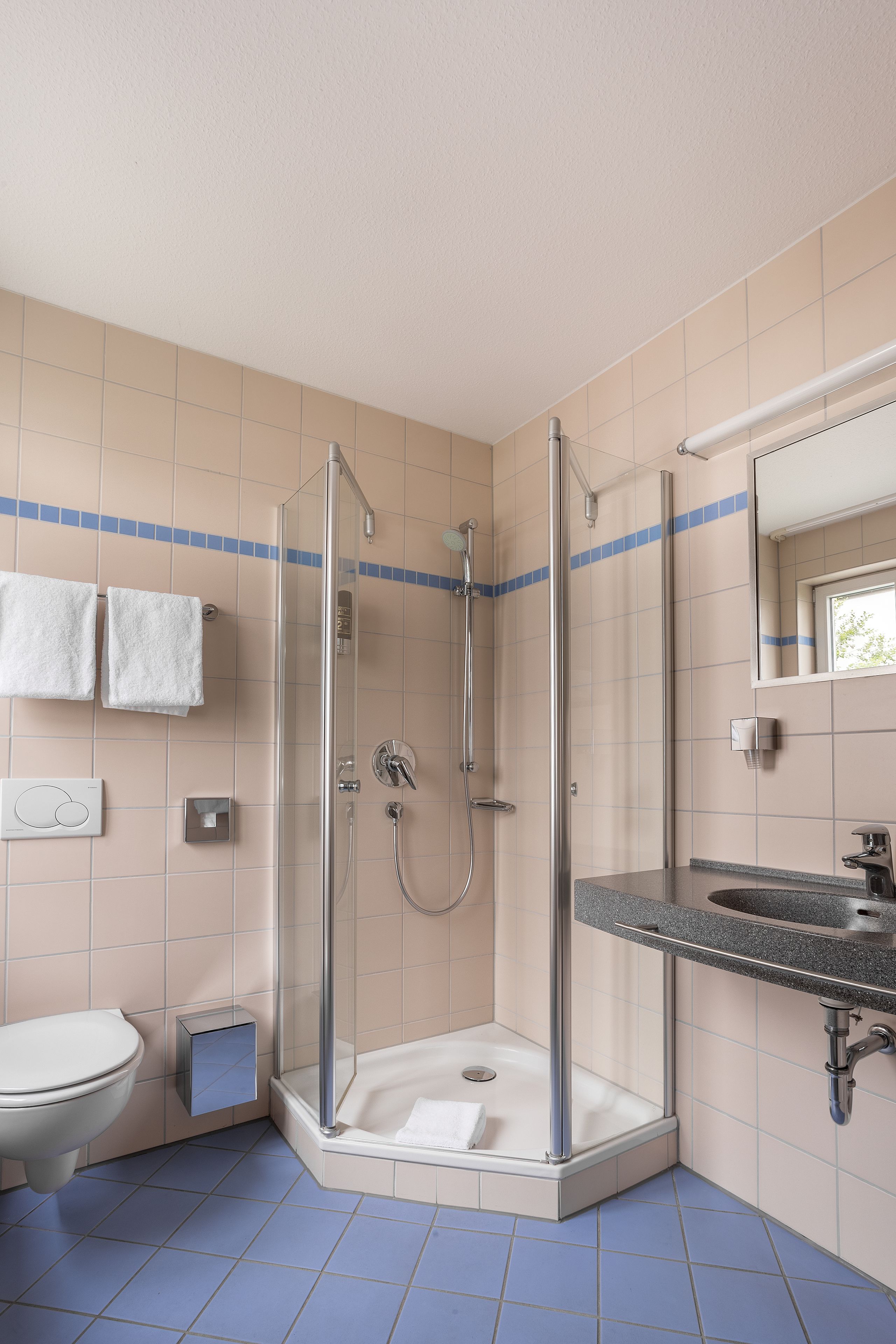 classic double room | bathroom shower
