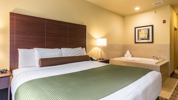 Une chambre d’hôtel avec un grand lit, une table de chevet avec une lampe, une salle de bain avec une baignoire et un tableau encadré au mur.