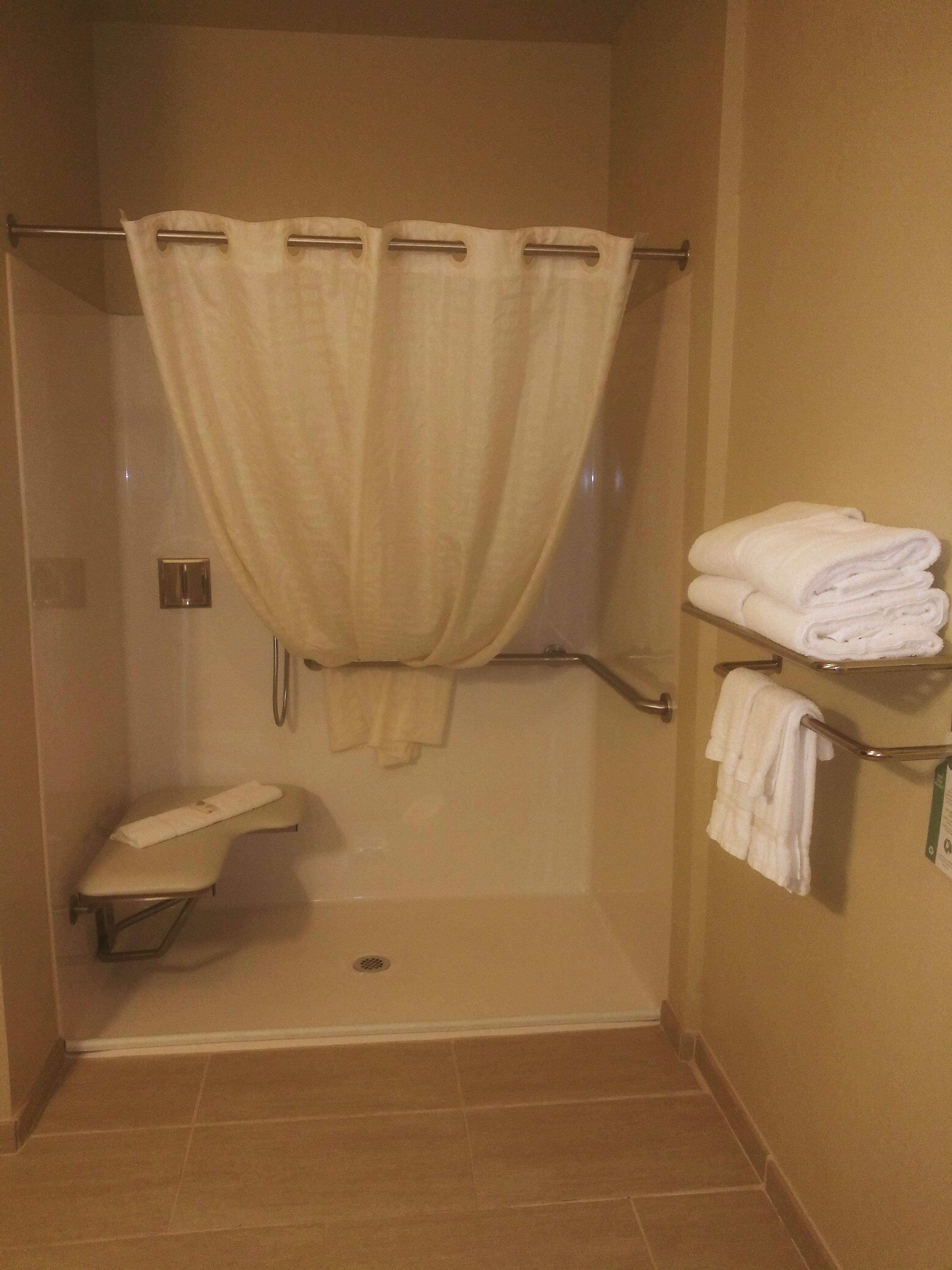 room, 1 queen bed, accessible, non smoking | bathroom | combined shower/bathtub, free toiletries, hair dryer, towels