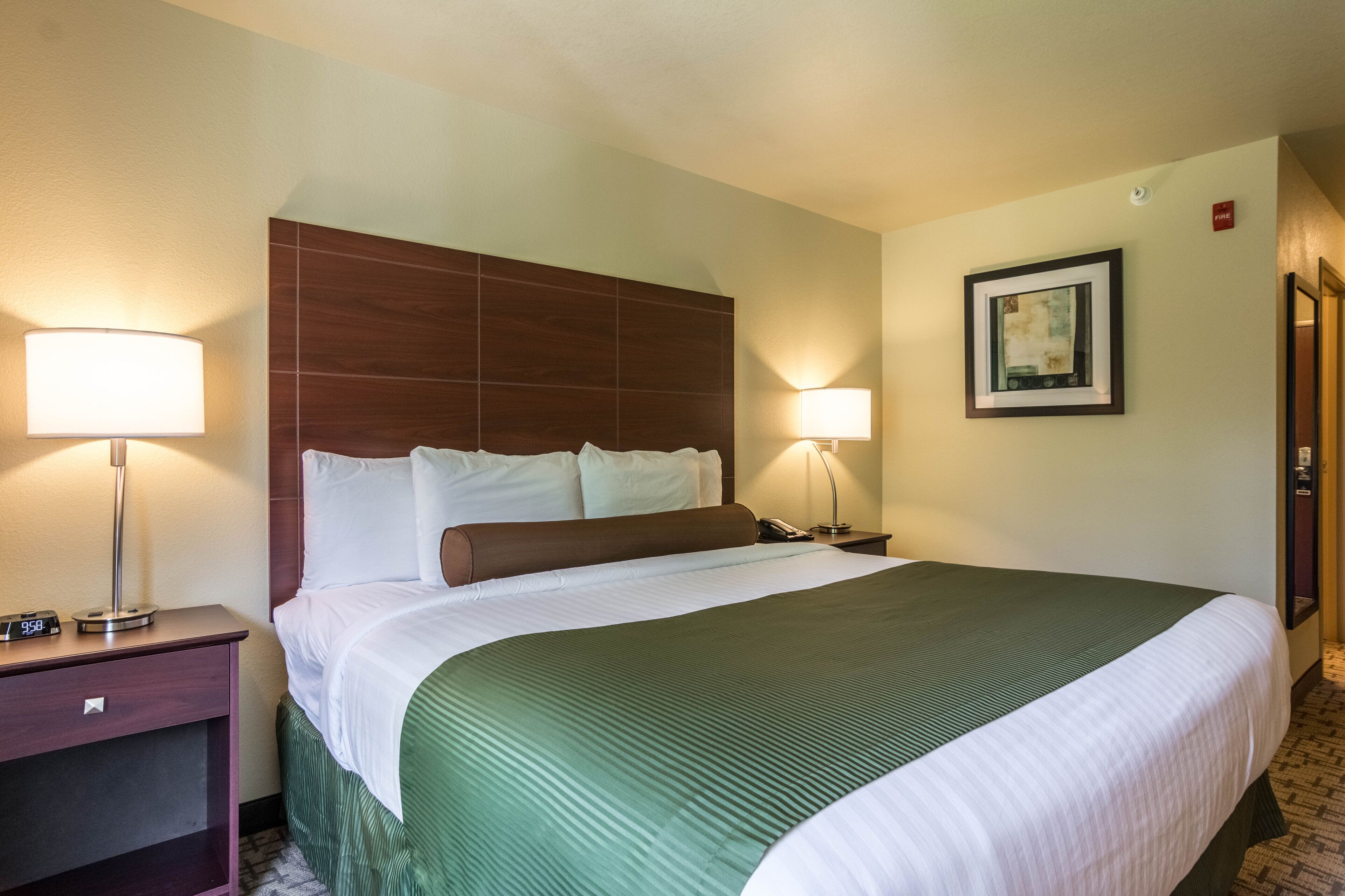 A hotel room with a large bed, two bedside lamps, a nightstand, a framed picture on the wall, and a door.