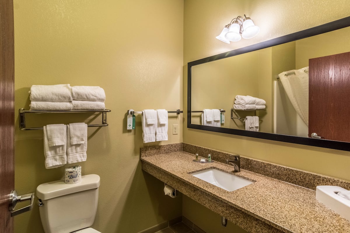 suite, 1 king bed, non smoking, jetted tub | bathroom | combined shower/bathtub, free toiletries, hair dryer, towels
