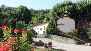 A building with a sign reading "Ristorante" surrounded by a garden with potted plants and flowers.
