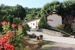 Lunch and dinner served, local cuisine