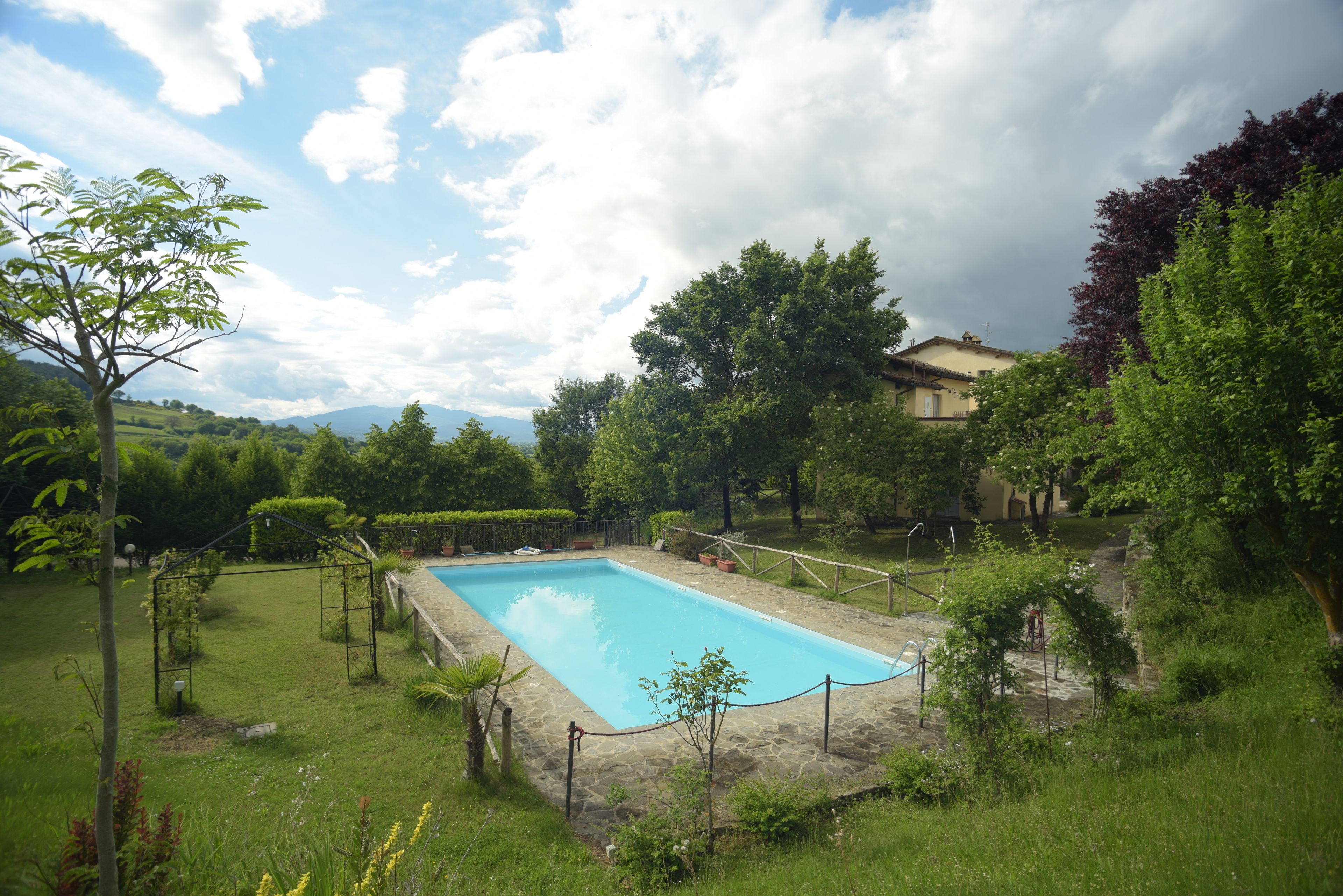 Une piscine rectangulaire entourée d’une végétation luxuriante et dotée d’une terrasse en pierre.