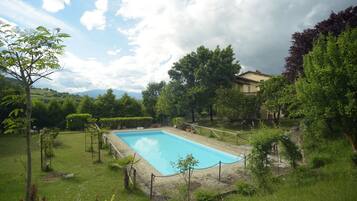 Une piscine rectangulaire entourée d’une végétation luxuriante et dotée d’une terrasse en pierre.