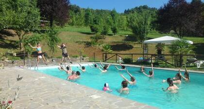 Badia Il Vingone