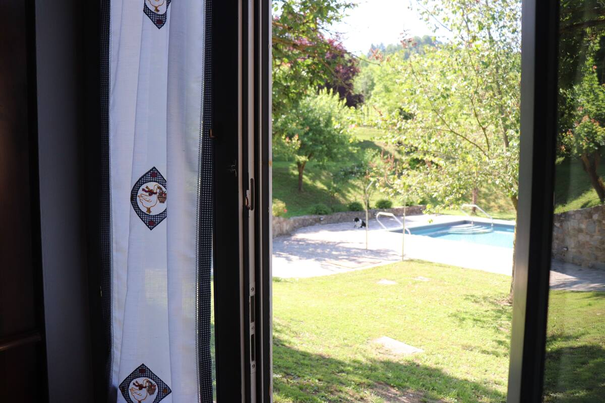 A view through a window with a curtain featuring a pattern of birds. Outside, there is a swimming pool surrounded by a grassy area and trees.