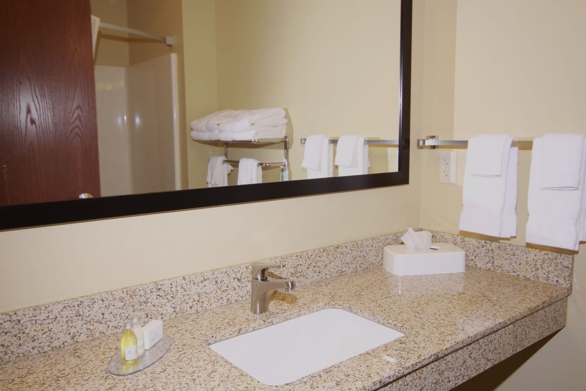 combined shower/bathtub, free toiletries, hair dryer, towels