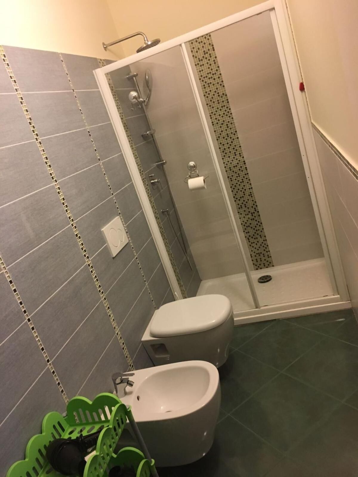 Casa de banho com chuveiro, sanita, bidé e uma planta verde.