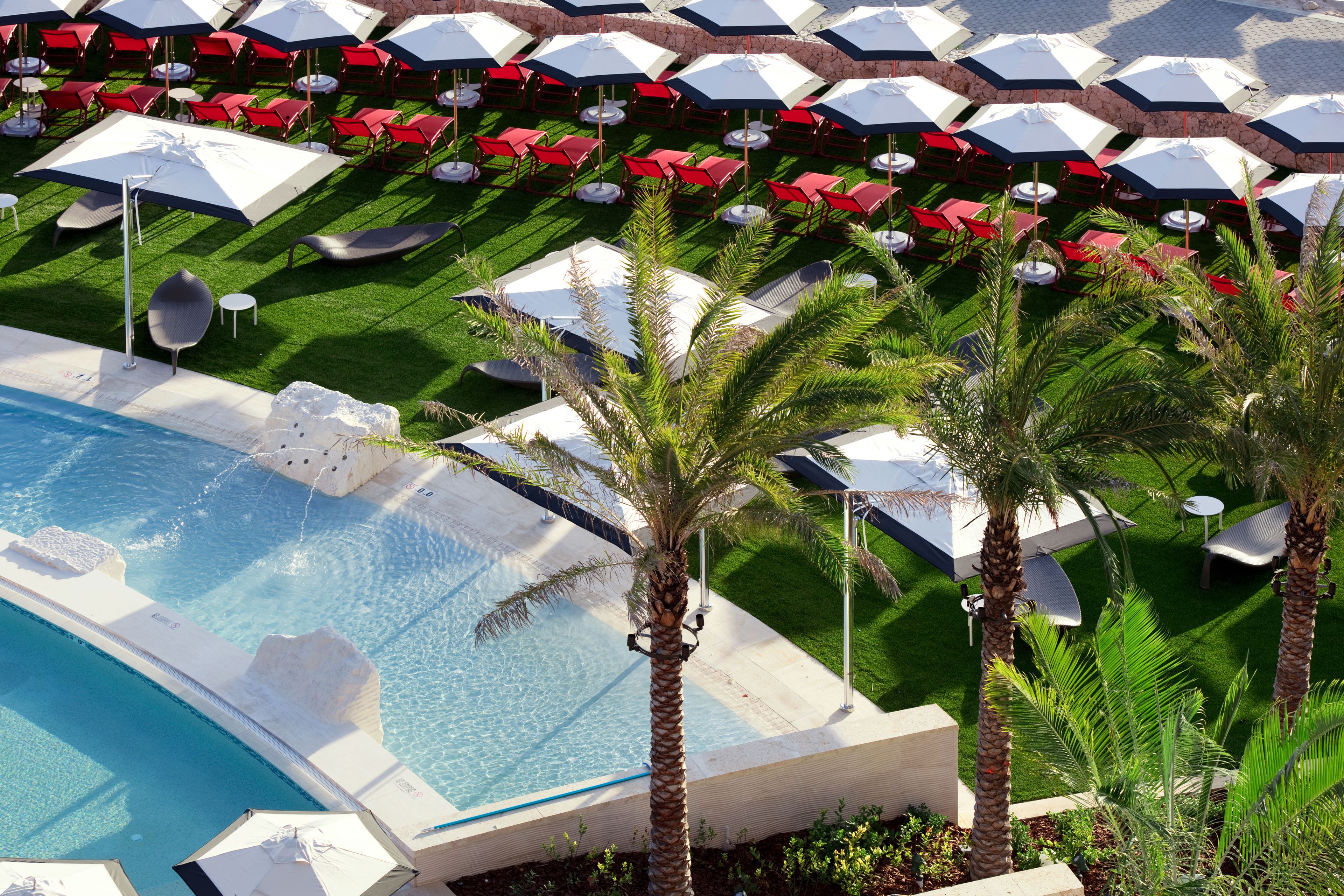 A pool area with multiple umbrellas and lounge chairs, surrounded by palm trees and well-maintained grass.