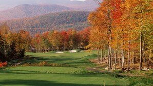 A golf course with a clear view of the surrounding forest and distant mountains.