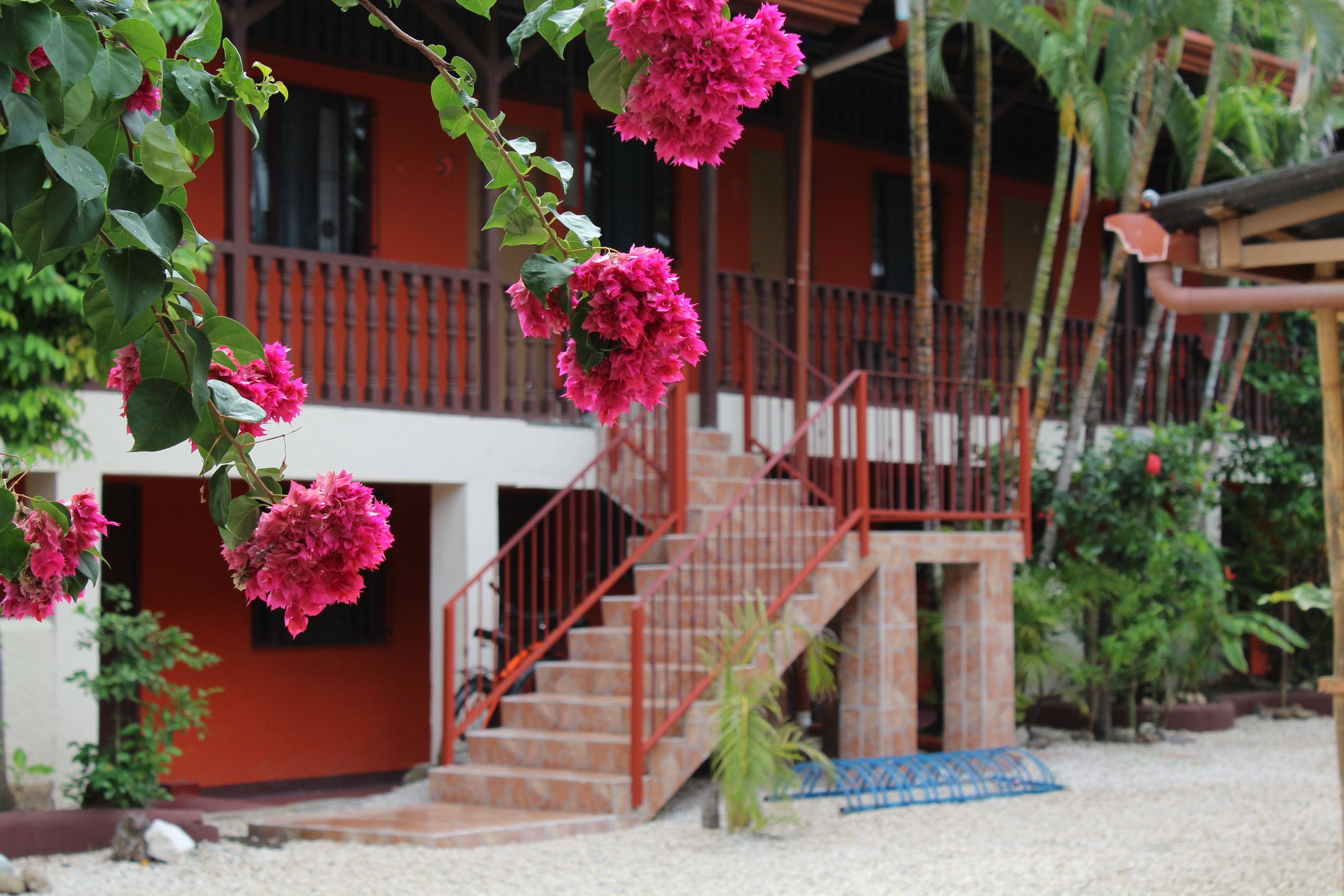 Un bâtiment à la façade rouge, doté d’un escalier et d’un jardin agrémenté de fleurs roses.
