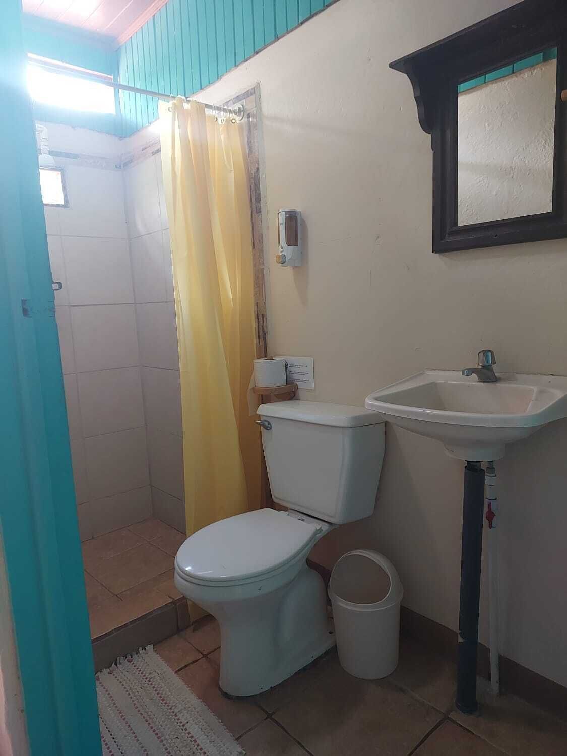 A small bathroom with a toilet, a sink, and a shower.