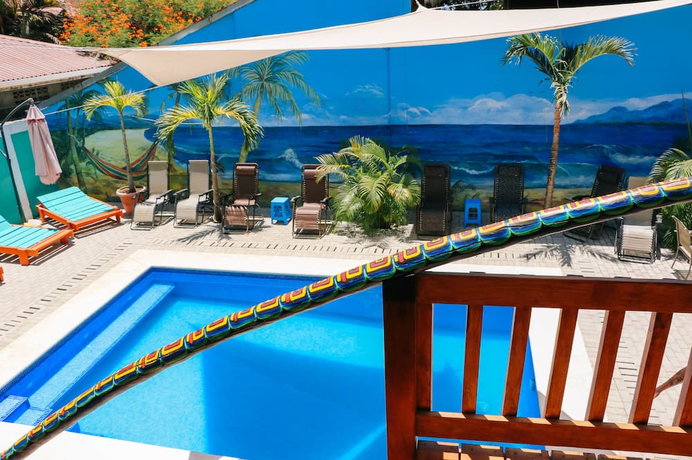 Blue Iguana