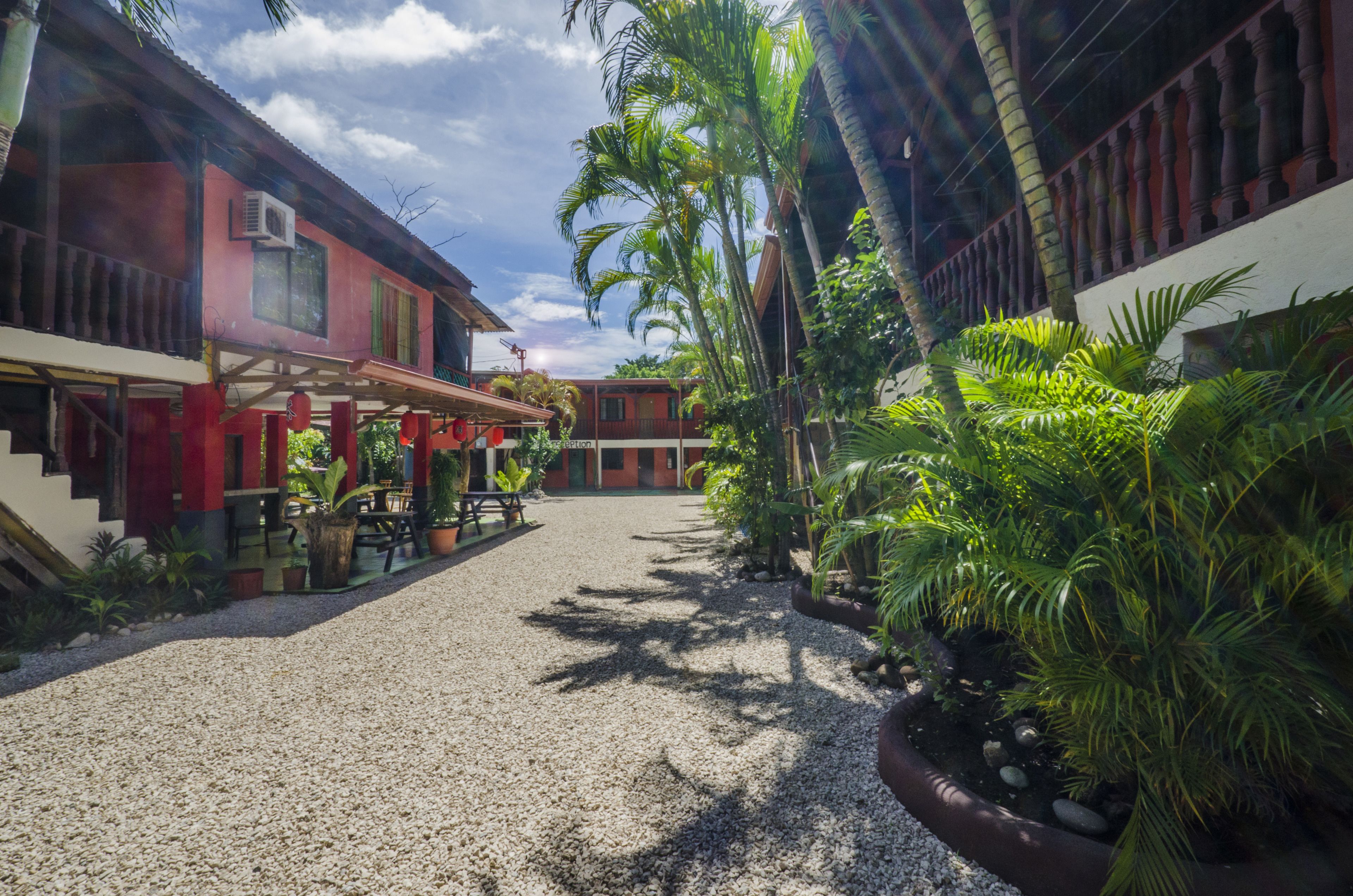 A courtyard with a gravel path, palm trees, and a building with red and white walls.