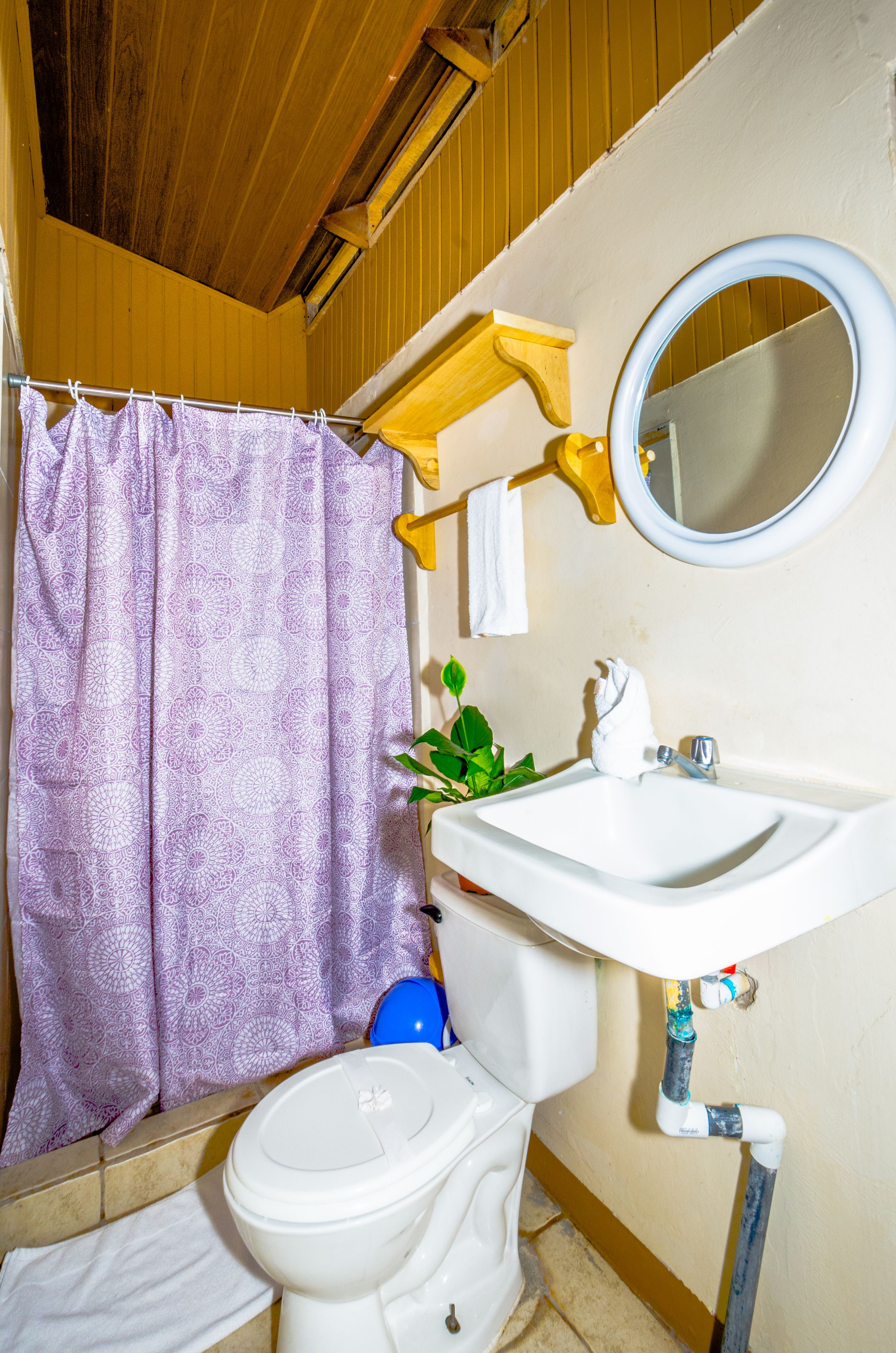 A bathroom with a toilet, sink, and shower curtain.