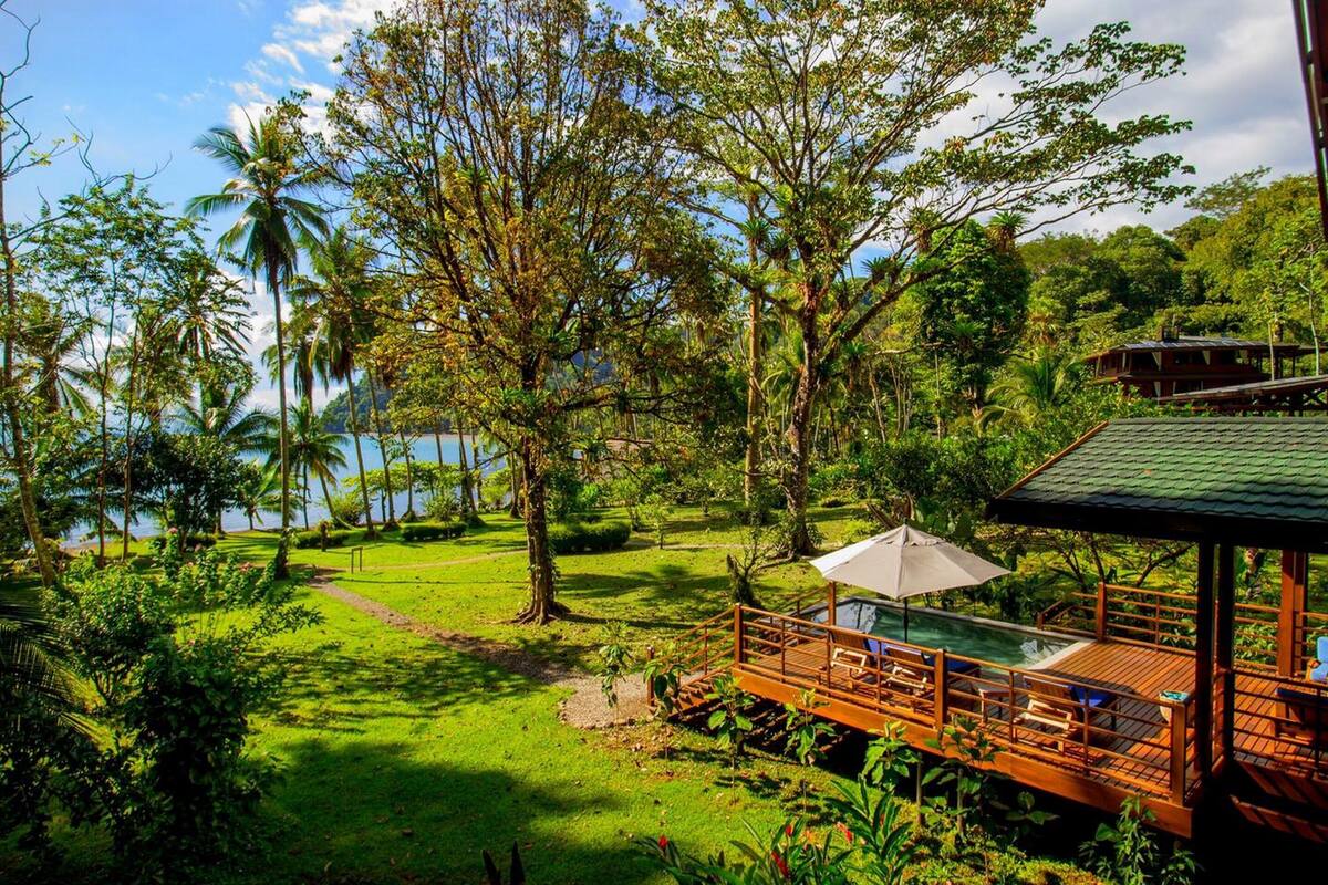 Un jardin luxuriant doté d’une terrasse en bois et d’une piscine, entouré d’une végétation tropicale dense et offrant une vue sur l’eau.