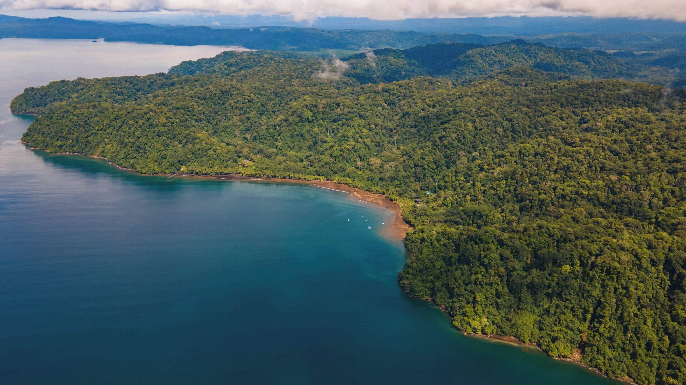 Vista aérea de una zona costera con bosque denso y mar azul cristalino.