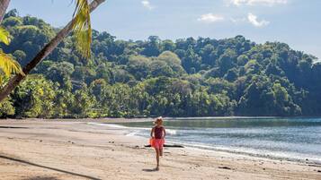 Una playa con una persona caminando hacia el agua, rodeada de abundante vegetación y palmeras.