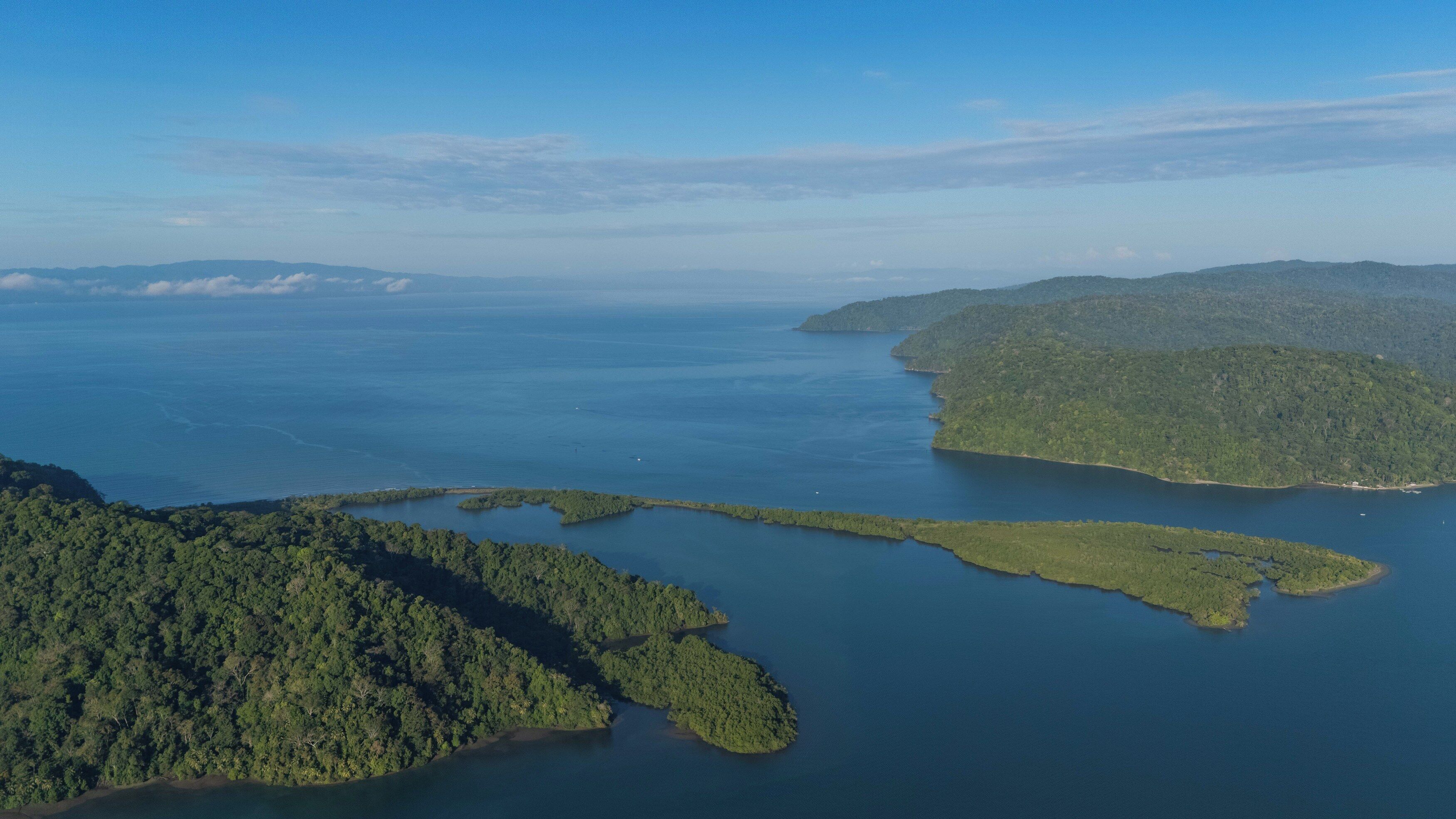 Vista aérea de una zona costera con densa vegetación y una gran masa de agua.