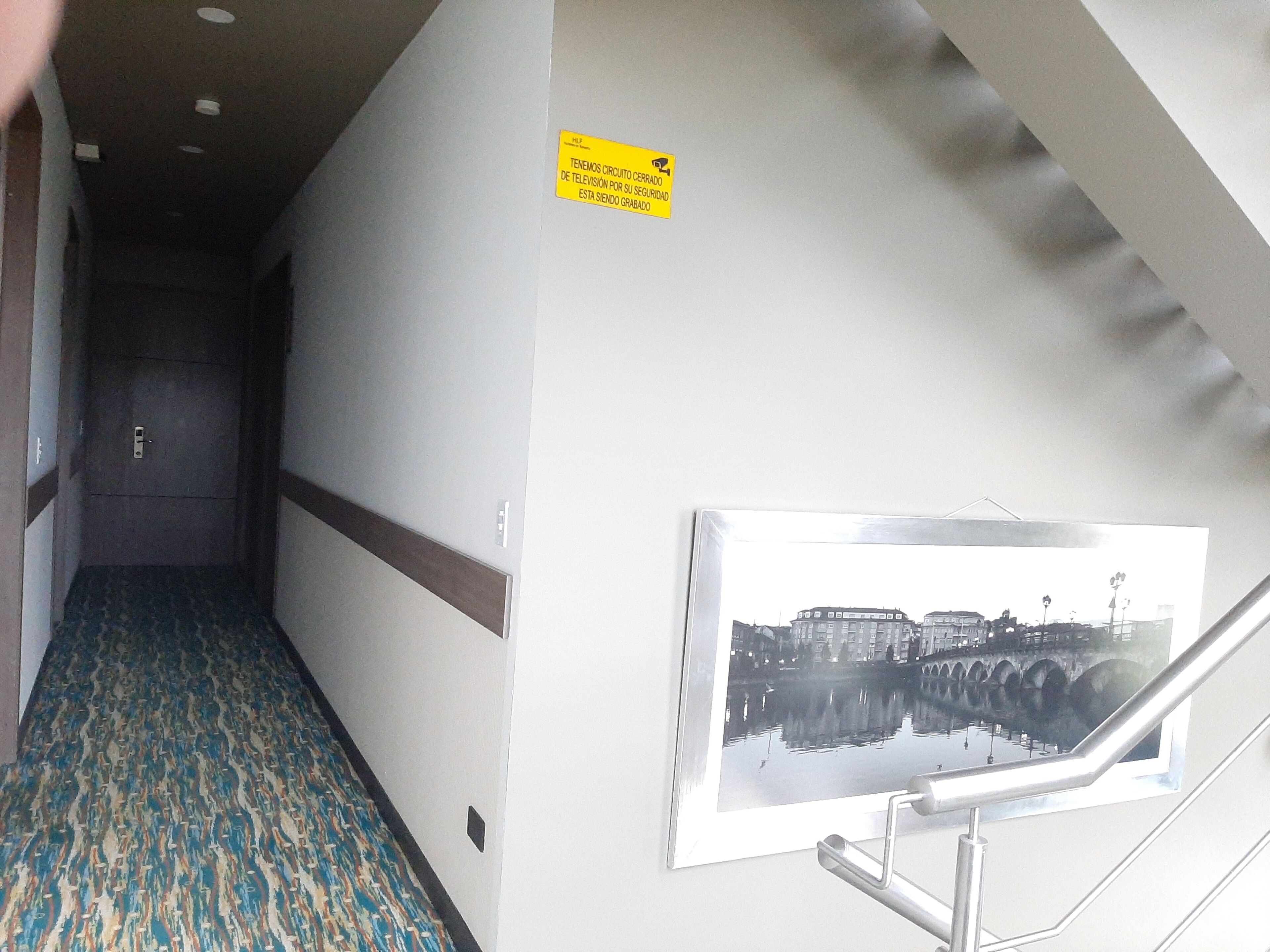 A hallway with patterned carpet, a door at the end, and a framed picture on the wall.